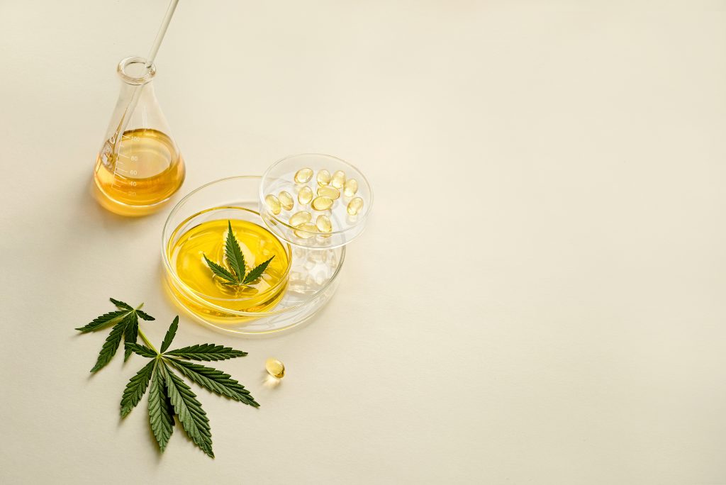 CBD oil in laboratory glassware, Petri dishes. Capsules, THC tincture, CBD oil and hemp leaves, light background Medical cannabidiol concept Flat lay, copy space, minimalism