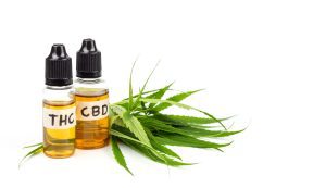Medicinal cannabis with extract oil in a bottle isolated on white background.