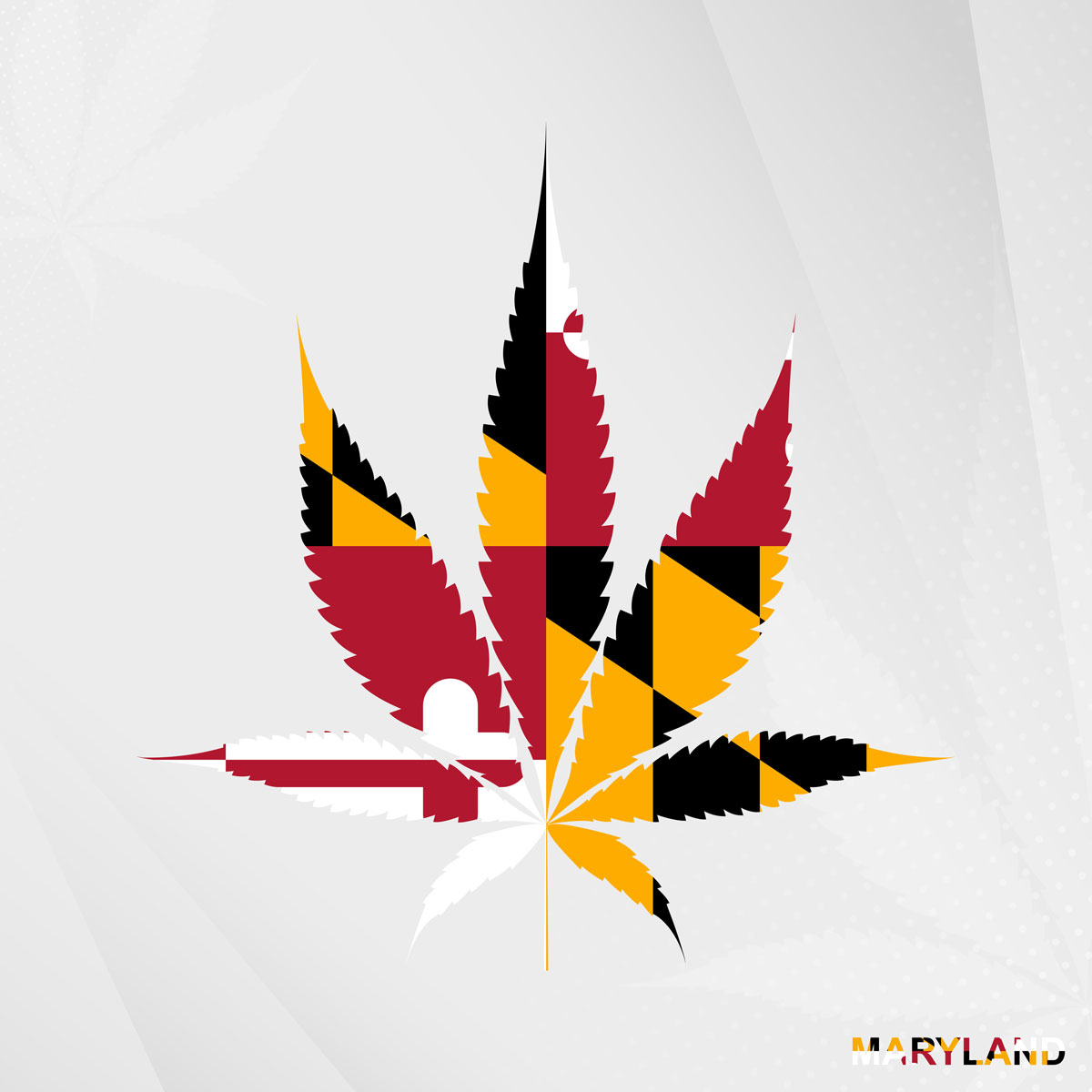 Discover why Maryland consumers are choosing terp-forward cannabis for better flavor and experience.